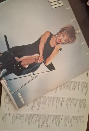 LP Vinil Tina Turner Private Dancer 1984 Original - Raro