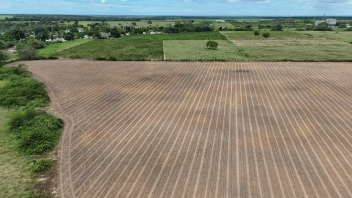 fazenda com 42 hectares na região de Macaiba terra desmatada e excelente para plantio e.