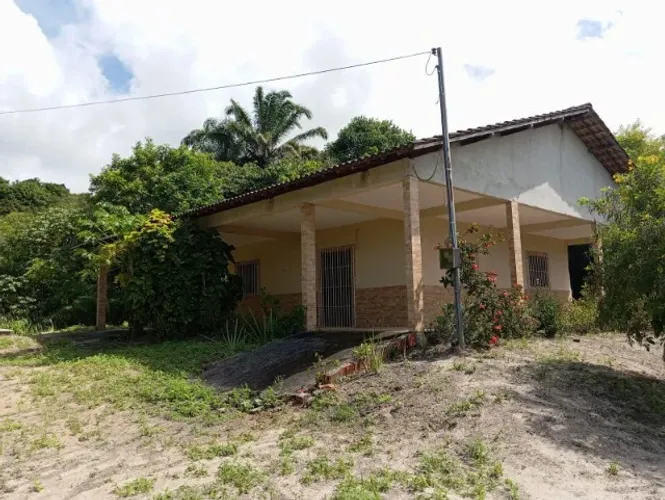 Vendo sítio em Alhandra/PB com 7,3 hectares
