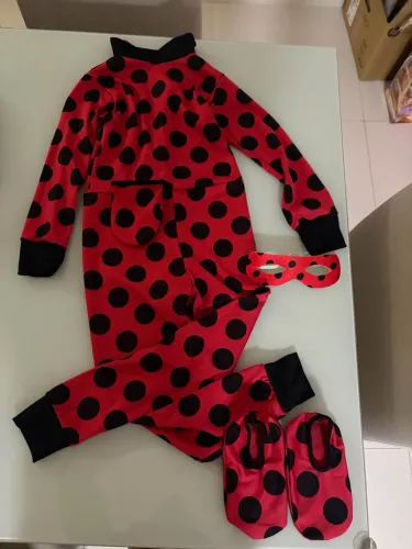 Fantasia Lady bug - 6 anos
