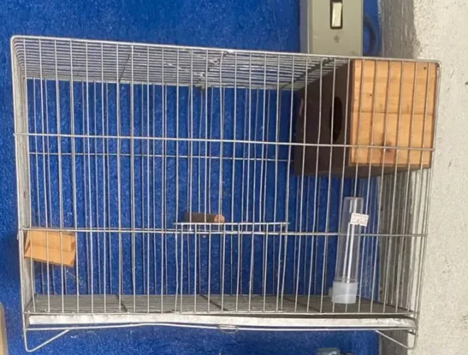 Gaiola para periquito