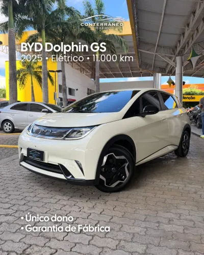 BYD Dolphin EV (Elétrico) 2025
