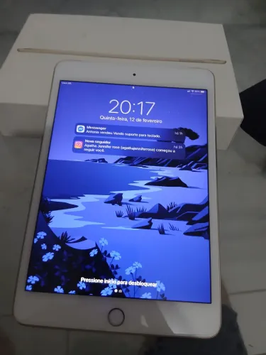 Ipad mini 4 128 giga com chips 