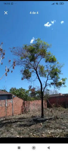 Lote a venda