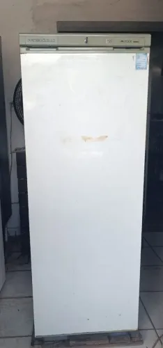 Freezer vertical