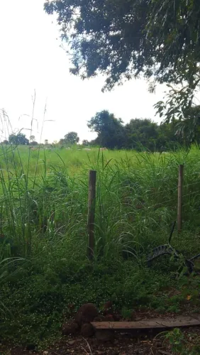 Vend_se este sítio de 8 alqueires próximo ao Rio Araguaia apenas 650 mil