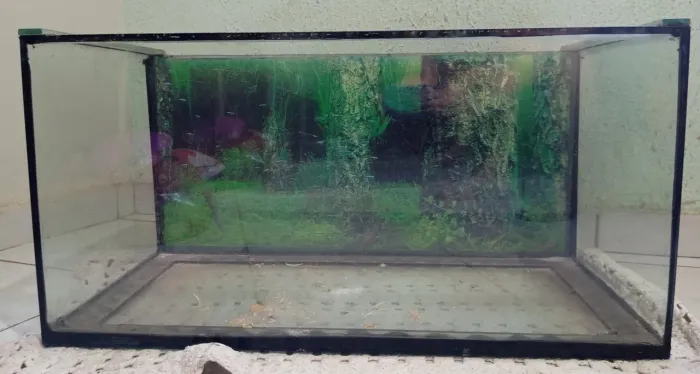 Vendo Vidro de aquário 