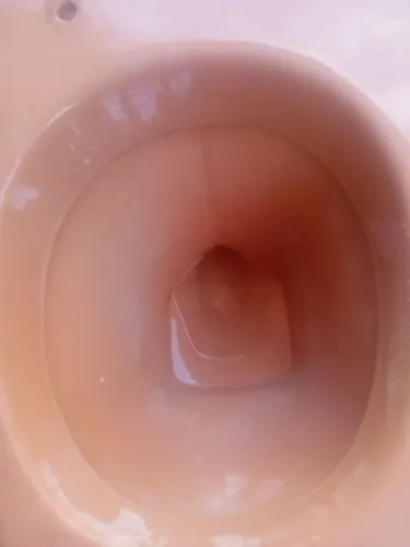 Vaso sanitário
