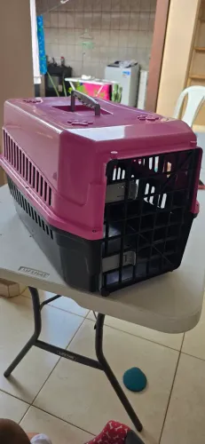 Caixa de transporte Cães e Gatos N5- Semi Nova