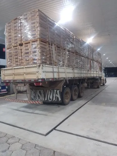 Cavalo+carreta (conjunto completo 