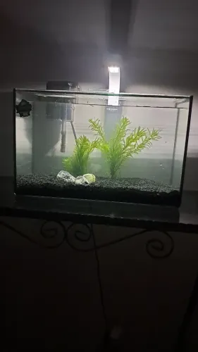 Vendo aquário de 20 litros completo acompanha filtro pedras e cascalhos, led branco