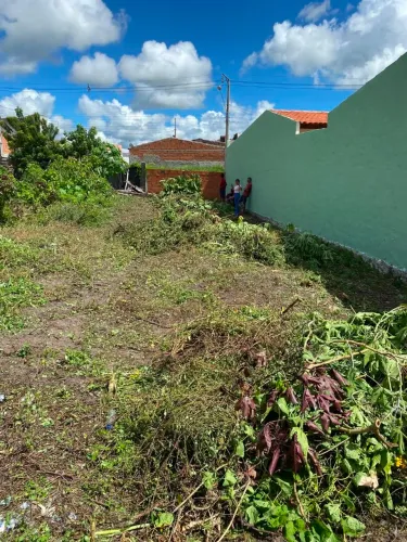 Vende- se terreno em moita bonita-se