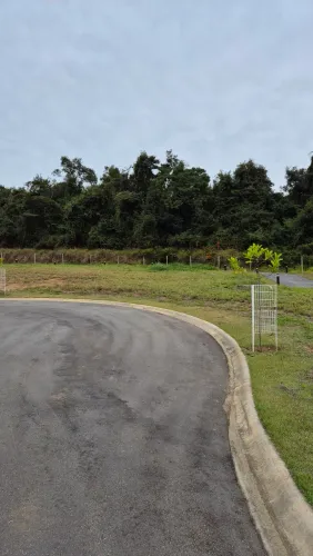 Terreno 361,00 mts à venda no Verdant Ilha Urbana