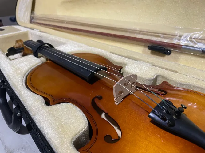 Violino 