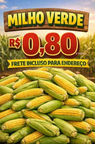 Milho espiga 
