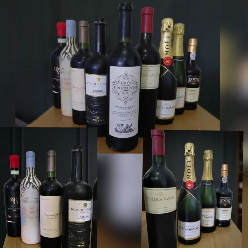 Lote Exclusivo de Vinhos Premium e Champagnes (Gran Enemigo, Angelica Zapata, Vik,Moët...)