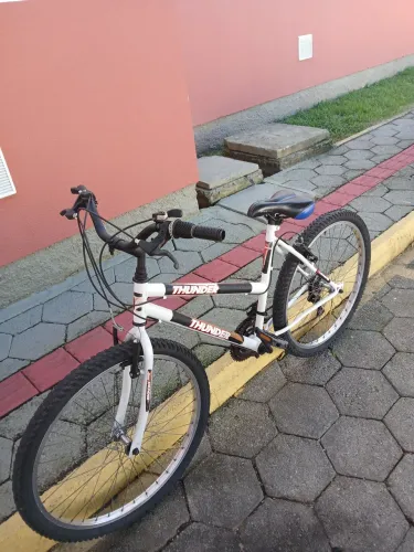 Bicicleta adulto