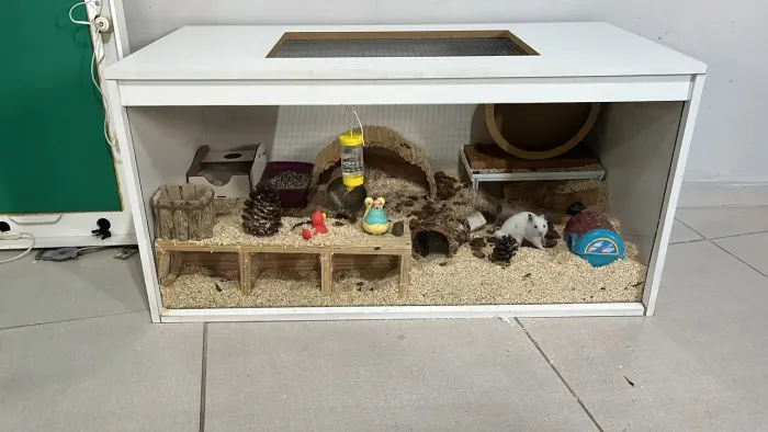 Terrario 1m roedor