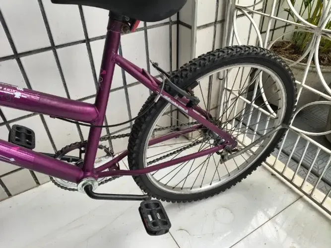 Bicicleta Bella Cairu Seminova
