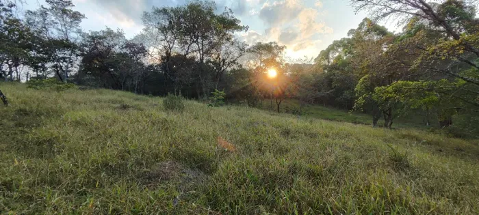 Terreno 8 hectares 