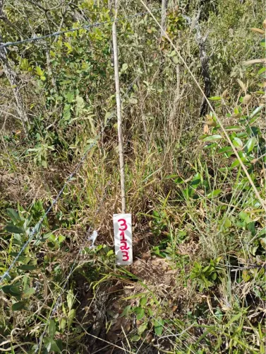 VENDO TERRENO