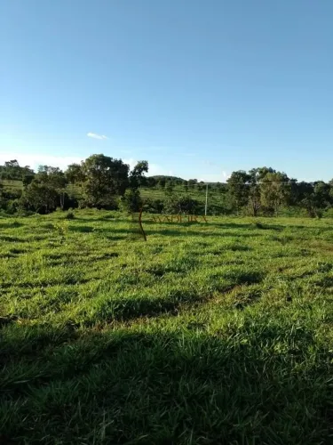 SÍTIO EM RIBEIRÃO CASCALHEIRA