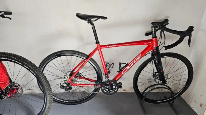 Bike speed oggi velloce