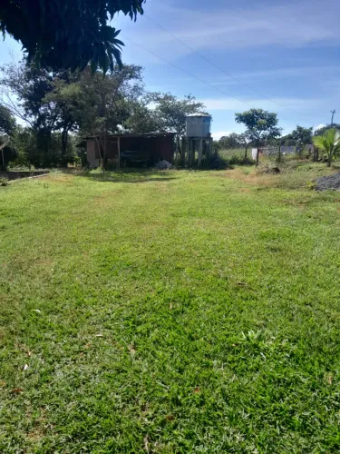 Vendo fazenda