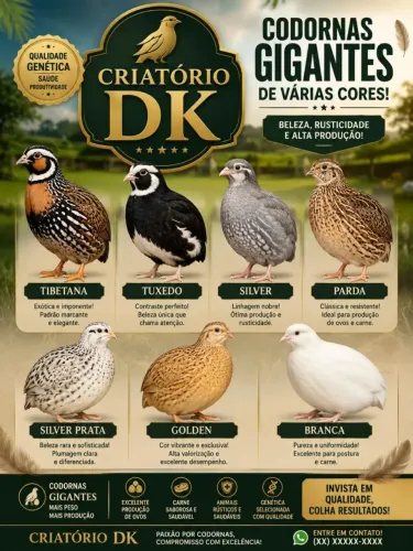 12 ovos galados de codorna gigante 