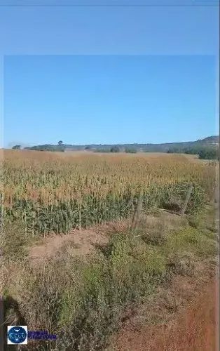 FAZENDA À VENDA EM RIO VERDE - GO | 60 ALQUEIRES
