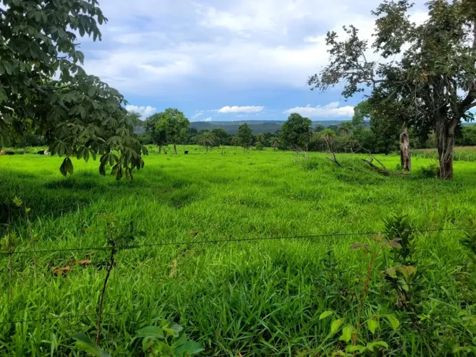 A&M IMOVEIS VENDE OTIMA FAZENDA COM 43HECTARES ZONA RURAL DE CABECEIRAS GO