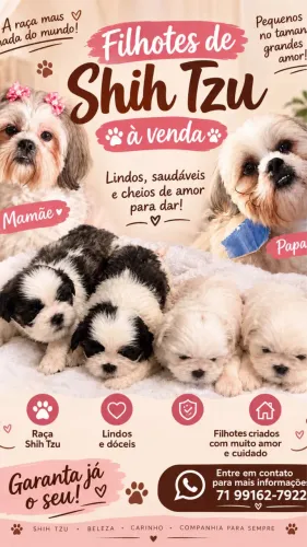 Cachorrinhos