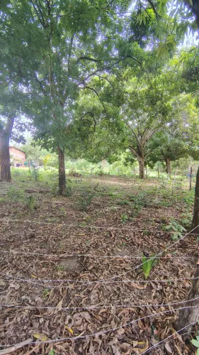 Vendo Terreno na praia de Guarapiranga -1.620m