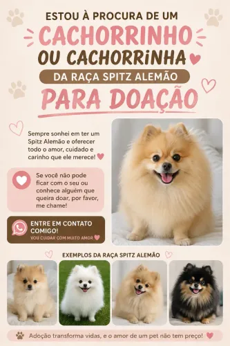 Adoção! Estou a procura de um cachorrinho(@) da raça spitz alemão para doação