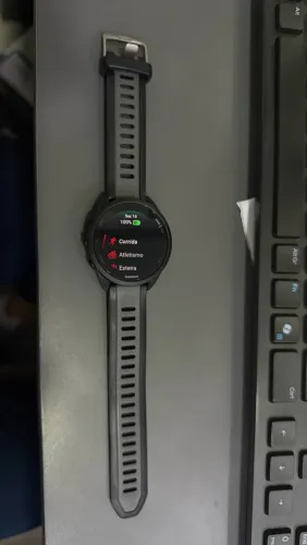 GARMIN 165