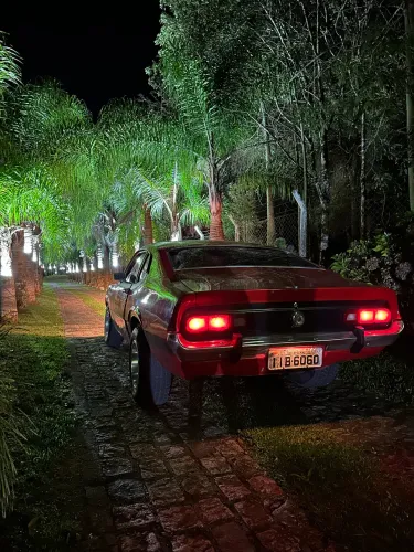 Aluguel de Carros para Casamento e Eventos