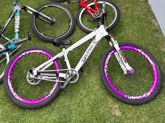 Bicicleta gios