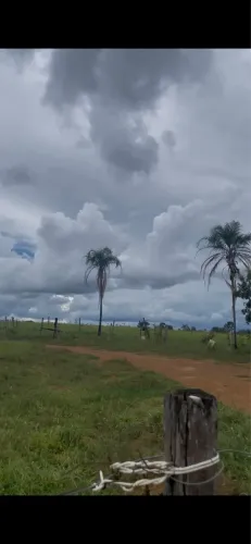 Vendo chácara Mato Seco / Água Fria GO