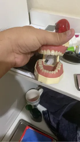 Manequim de odontologia 