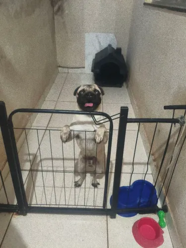 Vendo barato, motivo (SEM ESPAÇO)