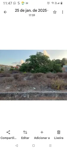 Terreno