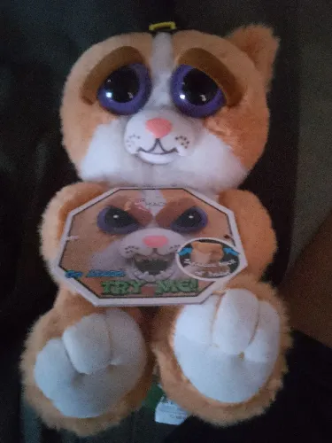 Feisty pets Halloween 
