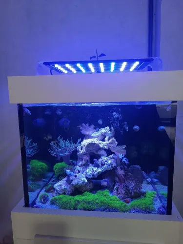Aquário marinho completo 