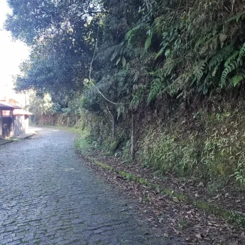 Terreno- Petrópolis, Independência