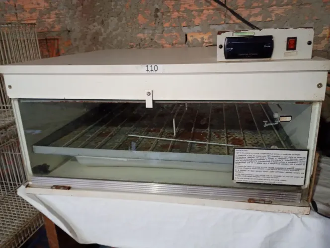 Chocadeira automática 100 ovos 