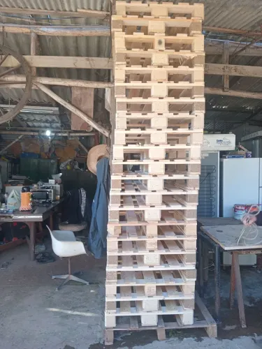 Vendo palete de pinus  novo