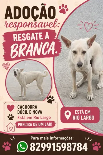 Resgate responsável (cachorra-branca)