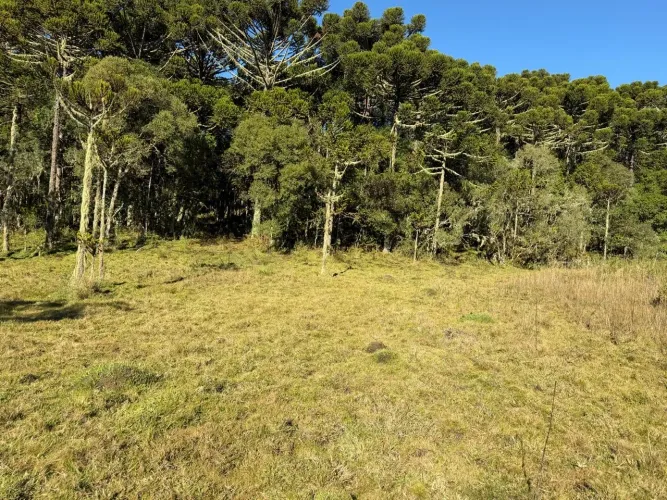 Terreno na Serra Catarinense- entre Painel e Urupema 
