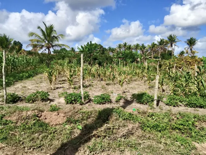 25.000 TERRENO NO POVOADO TOMBO
