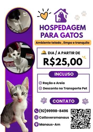 Hospedagem & Lar temporário para gatos 